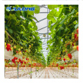 Agricultural Greenhouse Soiless Cultivation System for Sale